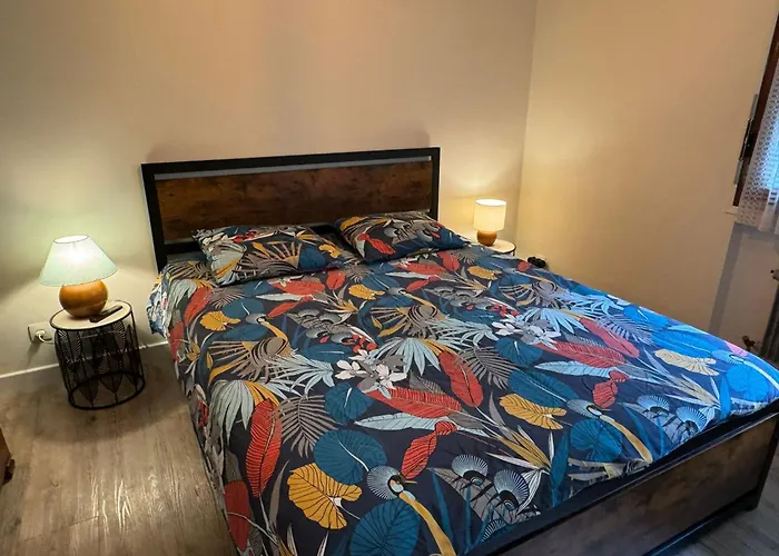 Residence Bois Du Bouchet, Appartement Vue Montagne, Calme, Parking Gratuit, Proche Centre