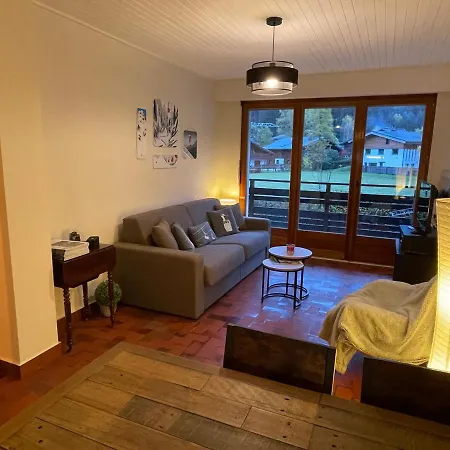 Residence Bois Du Bouchet, Appartement Vue Montagne, Calme, Parking Gratuit, Proche Centre Chamonix Buitenkant foto