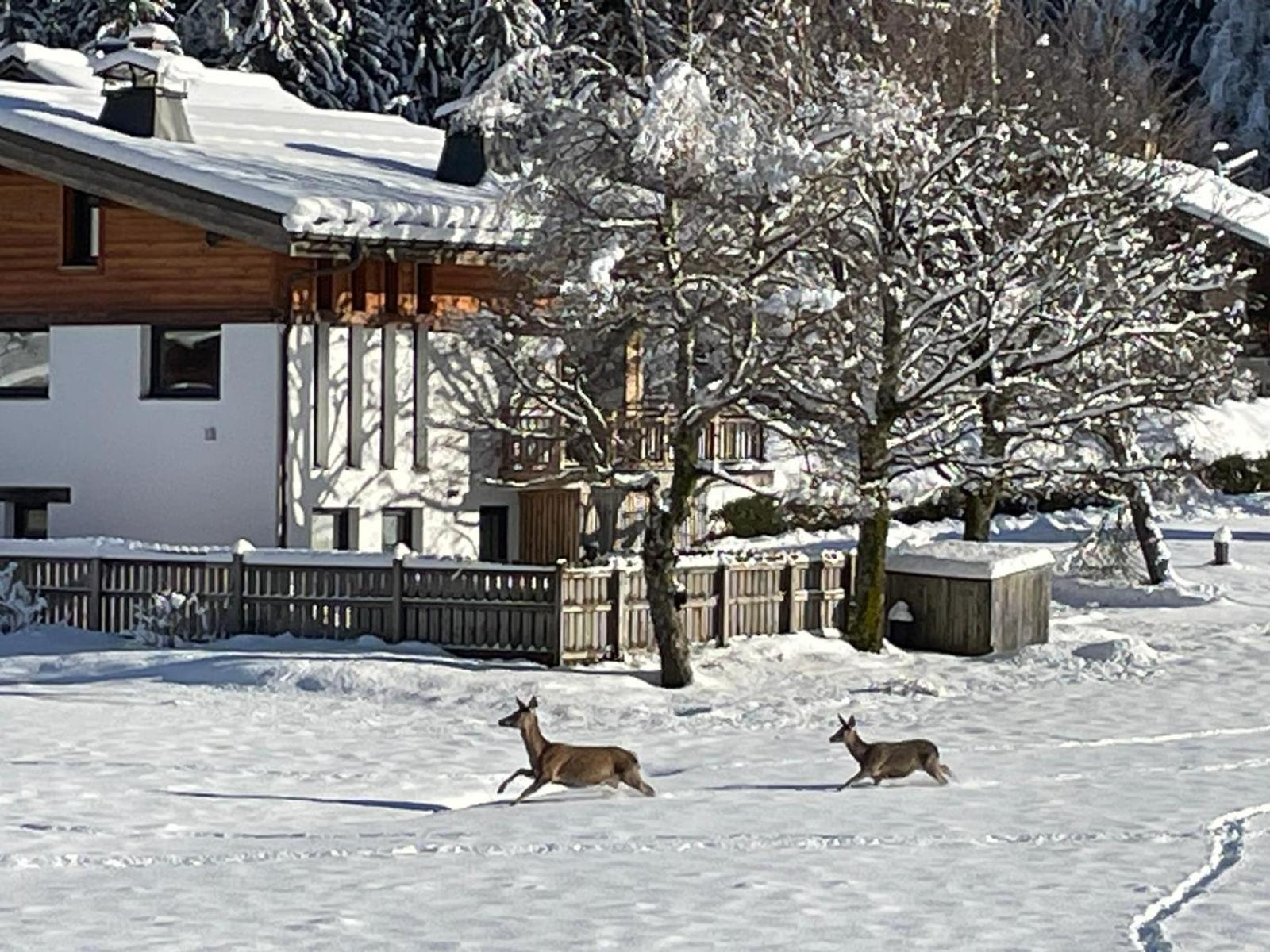 Bois Du Bouchet, Vue Montagne, Calme, Parking Gratuit, Proche Centre Appartement